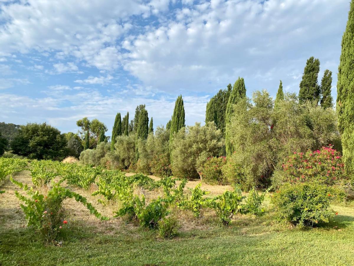 Bastide De Gueissard Bed & Breakfast แซ็งต์-ซีร์-ซูร์-แมร์ ภายนอก รูปภาพ