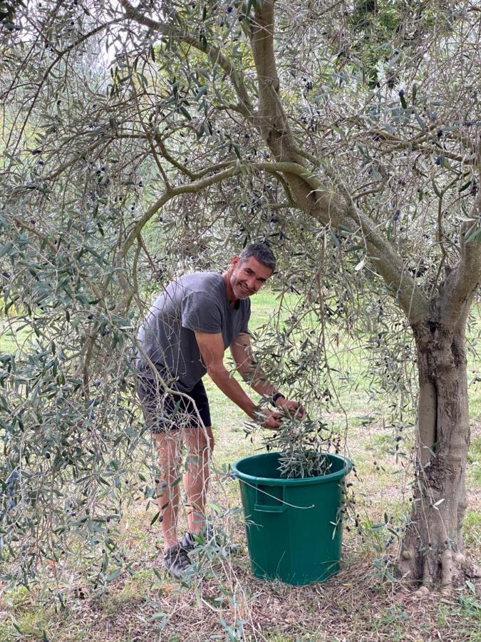 Bastide De Gueissard Bed & Breakfast แซ็งต์-ซีร์-ซูร์-แมร์ ภายนอก รูปภาพ